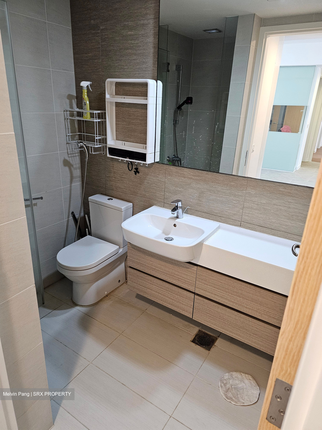 The Lakefront Residences (D22), Condominium #433617161